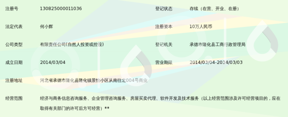 隆化县翼龙信息咨询服务
